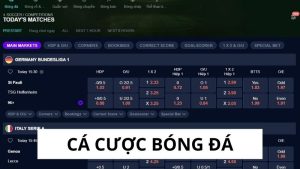 Cá Cược Bóng Đá Tại Sclub88 Với Tỷ Lệ Thưởng Cực Cao 7 các cược bóng đá
