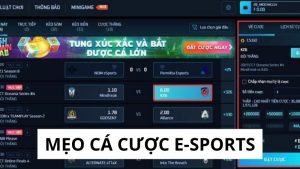 Cá Cược E-sports