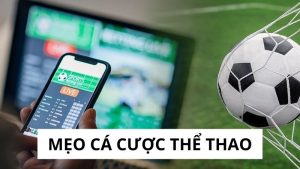 Mẹo Cá Cược Thể Thao Hiệu Quả Bạn Không Thể Bỏ Qua 4 cá cược thể thao