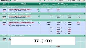 Tỷ Lệ Kèo -  Kiến Thức Cơ Bản Cho Người Chơi Cá Cược 2 tỷ lệ kèo